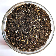 Collection image for: The Soil Makers