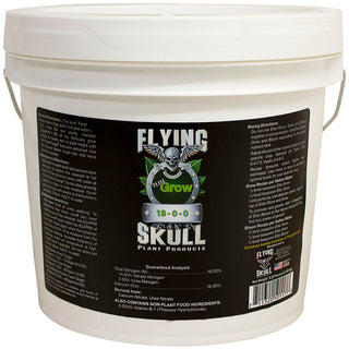 Flying Skull