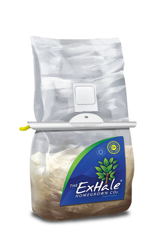 Exhale