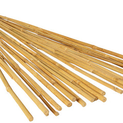 Collection image for: Bamboo / Steel Stakes