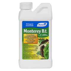 Collection image for: Monterey