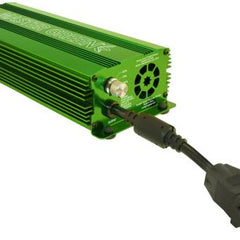Collection image for: Master Green
