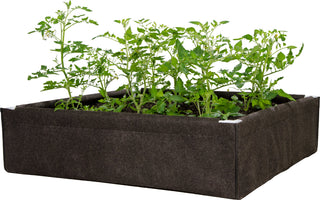 Dirt Pot