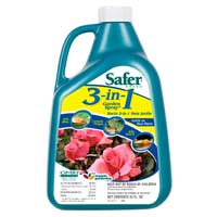 Collection image for: Safer