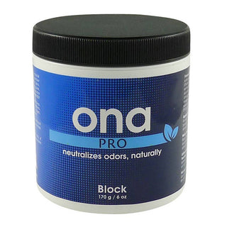 Ona