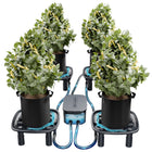 Mars Hydro auto-drainage system with 4 runoff trays