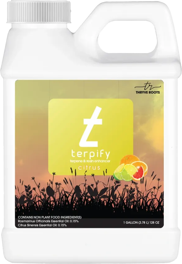 Terpify - Citrus - Terpene & Resin Enhancer - 1 GAL