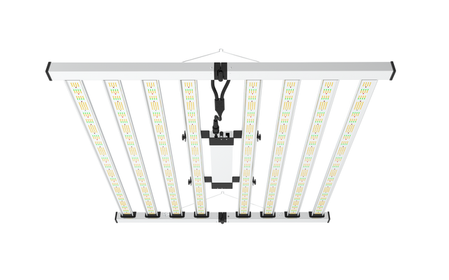 Mammoth Lighting Nova Sun 8-Bar 1000W LED grow light