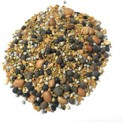 Build A Soil - Clover Crop 12Seed Mix - 1LB