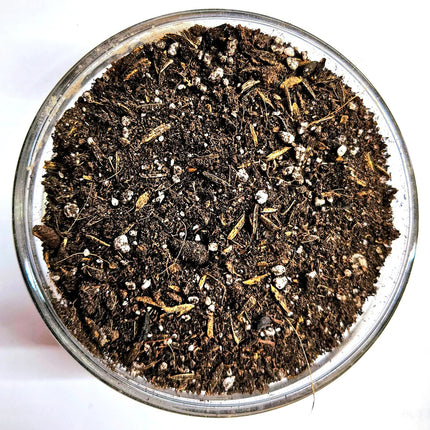 The Soil Makers Elico Living Soil - 1.5cu ft