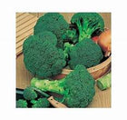 Page's Organic Seeds - Broccoli (Calabrese Green)