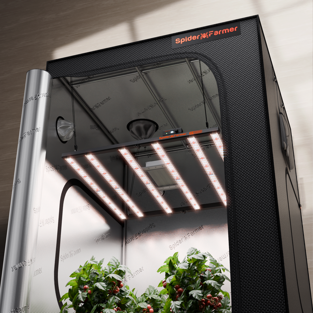 Spider Farmer G5000 LED and 4x4 grow tent kit