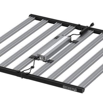 HortiBloom Mega Optic 1000W LED grow light, eight light bars with driver