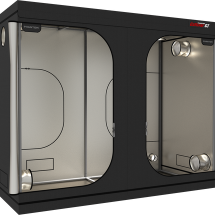 PHANTOM Cultivar GT84, 8X4 Grow Tent