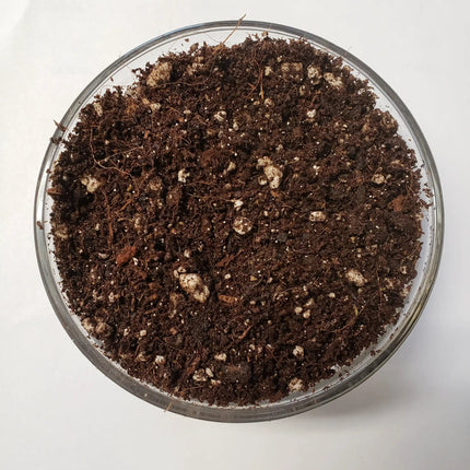The Soil Makers Elite Seed & Clone Soil 6 qt
