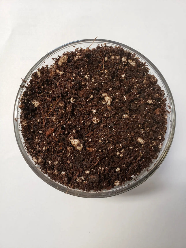 The Soil Makers Elite Seed & Clone Soil 6 qt