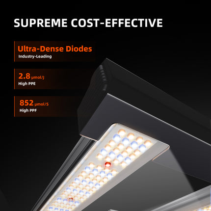 Spider Farmer G3000 LED diodes