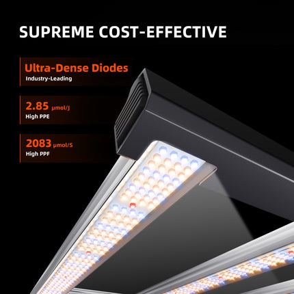Spider Farmer G7000 diode layout