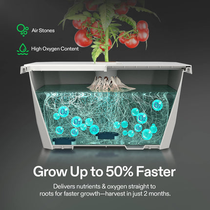 Vivosun VGrow DWC air stones