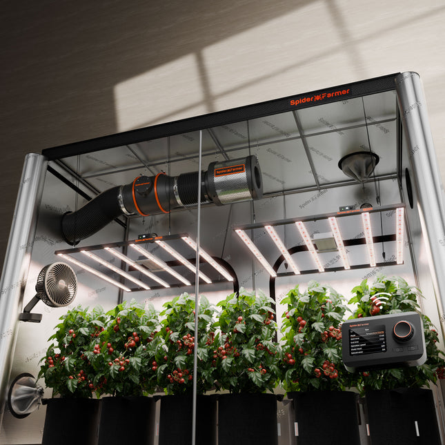 Spider Farmer 10x5 grow tent kit with two G8600 LEDs