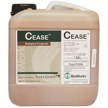 CEASE® Fungicide & Bactericide - 1gal - Suspension - Bacillus subtilis strain QST 713 - OMRI Listed®