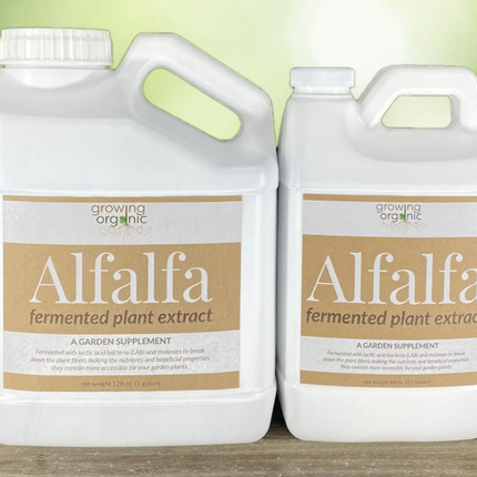 Growing Organic ALFALFA Fermented Plant Extract 1/2 Gallon
