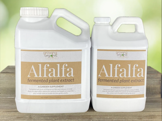 Growing Organic ALFALFA Fermented Plant Extract 1 Gallon