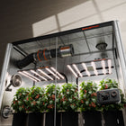 Spider Farmer 8x4 grow tent kit with two G5000 LEDs