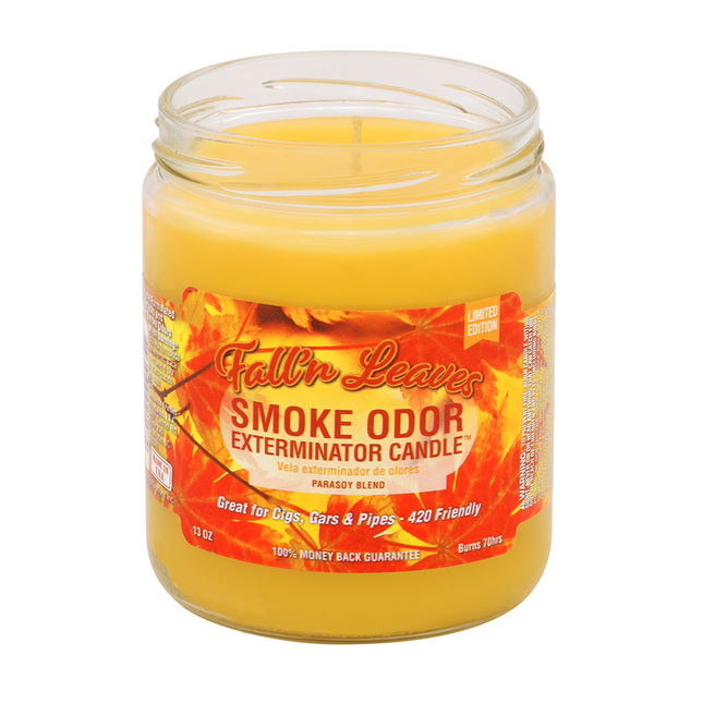 Smoke Odor Candle - Fall'n Leaves