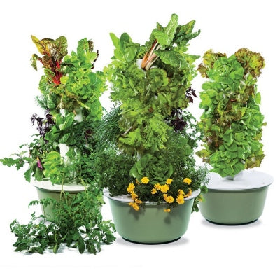Tower Garden Family Garden