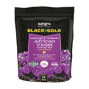 Black Gold African Violet mix - 8 QT