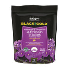 Black Gold African Violet mix - 8 QT