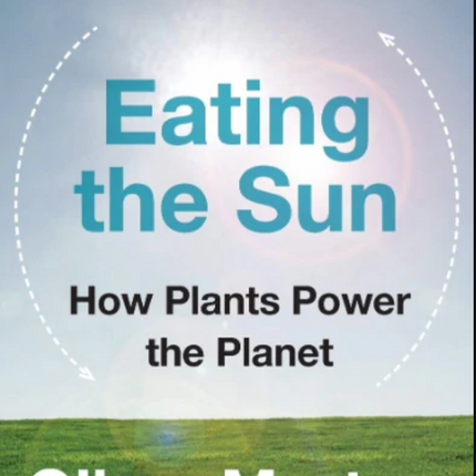 Eating the Sun. How Plants Power The Planet
