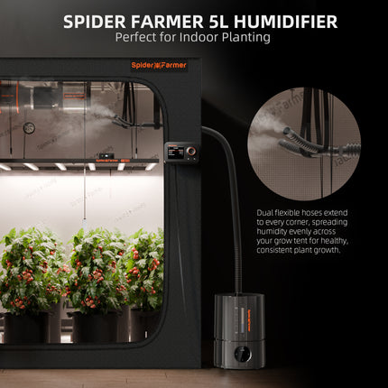 Spider Farmer 5L humidifier in a grow tent