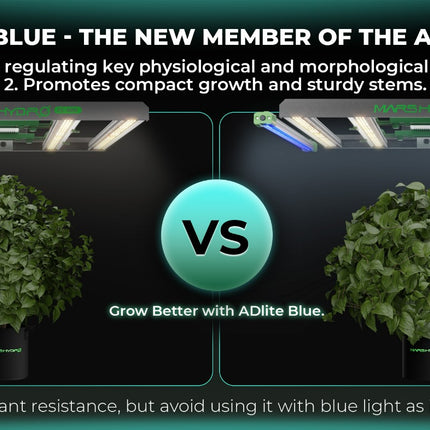 Mars Hydro ADlite blue bar