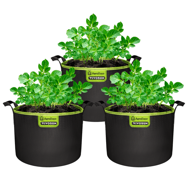 Vivosun AeroBase mesh grow bags 3-pack
