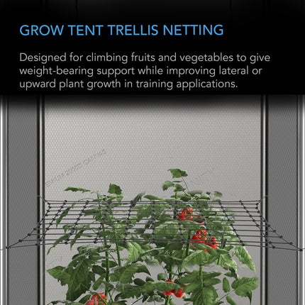 GROW TENT TRELLIS NETTING - FLEXIBLE ELASTIC CORDS - 3X3'