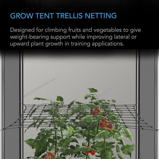 GROW TENT TRELLIS NETTING - FLEXIBLE ELASTIC CORDS - 4X4’