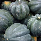 Page's Organic Seeds - Squash (Table Queen)