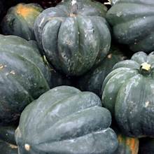 Page's Organic Seeds - Squash (Table Queen)