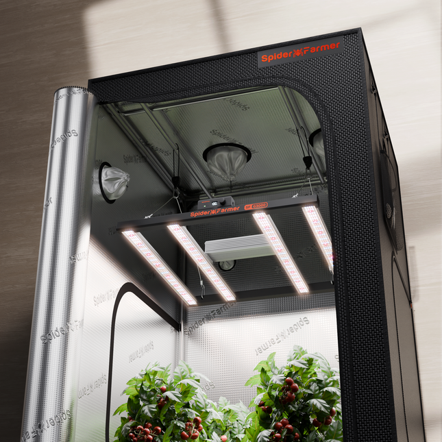 Spider Farmer G3000 LED and 3x3 grow tent kit