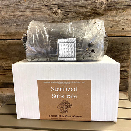 Growing Organic Sterilized Mushroom Growing Substrate