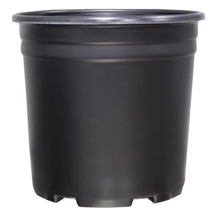 Thermoformed Nursery Pot 1 Gallon