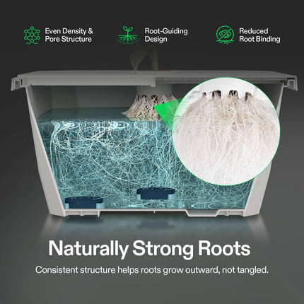 Vivosun seed rooter root development
