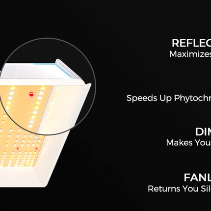 Mars Hydro TSW-2000 LED grow light details