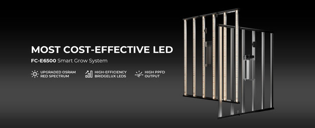 Mars Hydro FC-E6500 LED bars