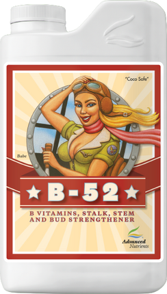 Advanced B-52 - 1L