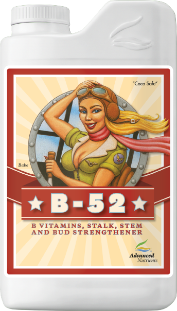 Advanced B-52 - 1L