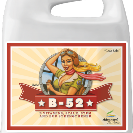 Advanced B-52 - 4L