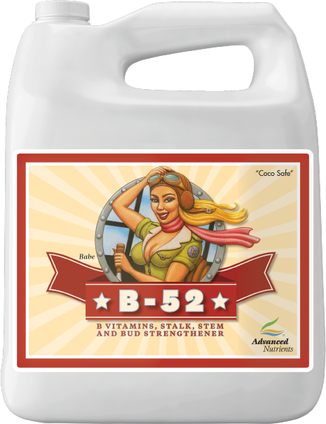 Advanced B-52 - 4L